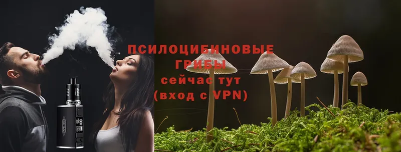 где купить наркоту  Лабинск  Галлюциногенные грибы Magic Shrooms 